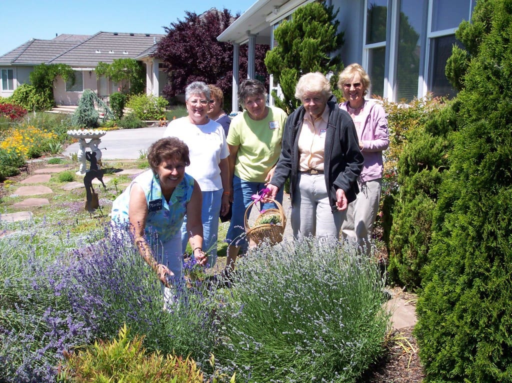 Martha Youngblood, Maxine Williams, Dora Moore, Carolyn Steiber, Leonie Sekreta and Ginny Newell