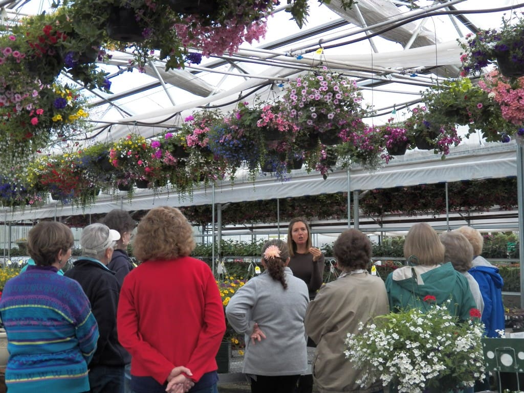 Kelly explaining how to group your plants
