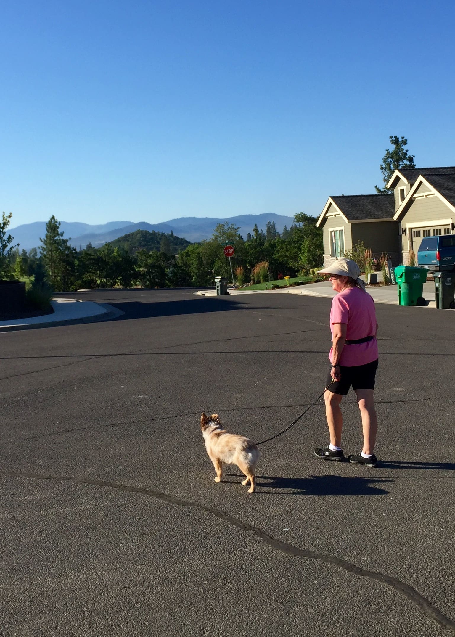 July 28, 2016 Walkabout